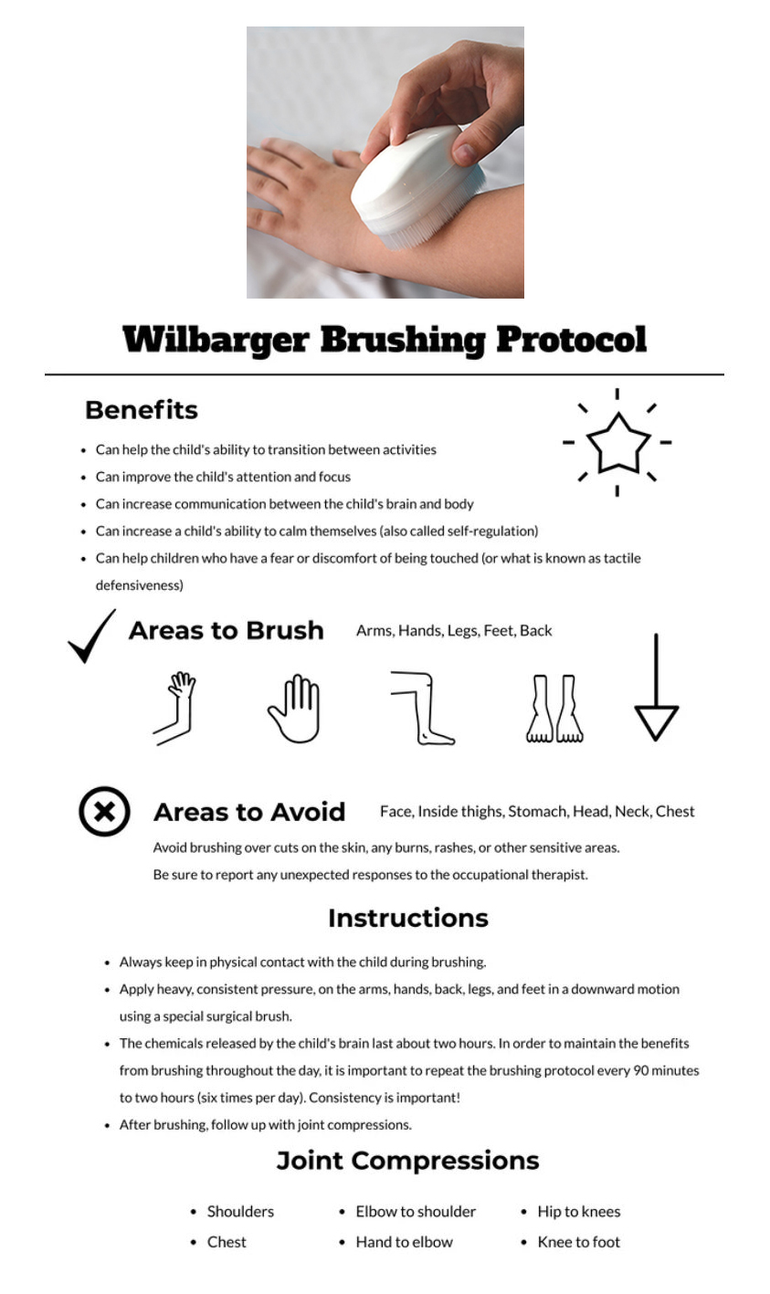 Wilbarger Therapressure Sensory Brush ออทิสติก ADHD Berus Terapi ADHD ...