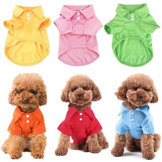 🐶🐶 พร้อมส่ง เสื้อโปโลสุนัขสีลูกอม, เสื้อสุนัขสีทึบ, เสื้อยืดสุนัขเท็ดดี้แขนสั้น, เสื้อผ้าสัตว์เลี้ยงฤดูร้อน