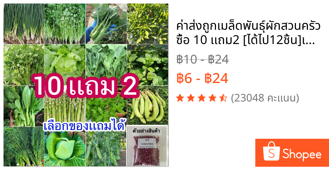 ค่าส่งถูก📍เมล็ดพันธุ์ผักสวนครัว🌱 ซื้อ 10 เเถม2 [ได้ไป12ชิ้น]🔥เลือกของเเถมได้
