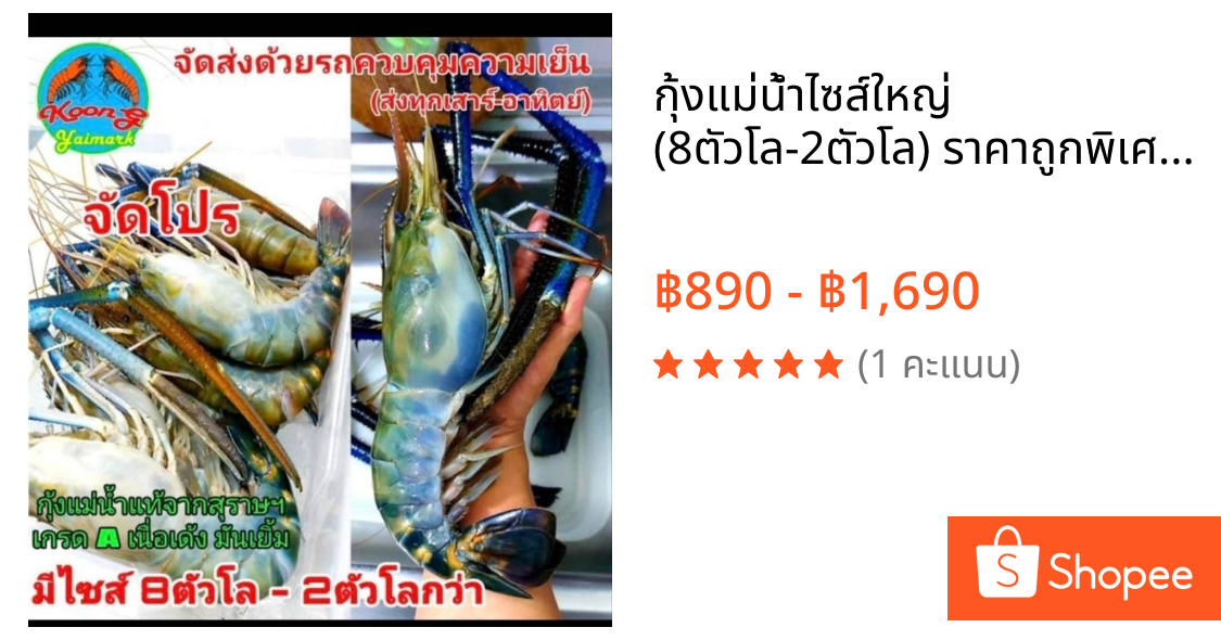 กุ้งแม่น้ำไซส์ใหญ่ (8ตัวโล-2ตัวโล) ราคาถูกพิเศษ จัดส่งทุกวัน (ส่งรถความเย็น(inter express)ทั่วประเทศ,กทมGrab/LALAMOVE)