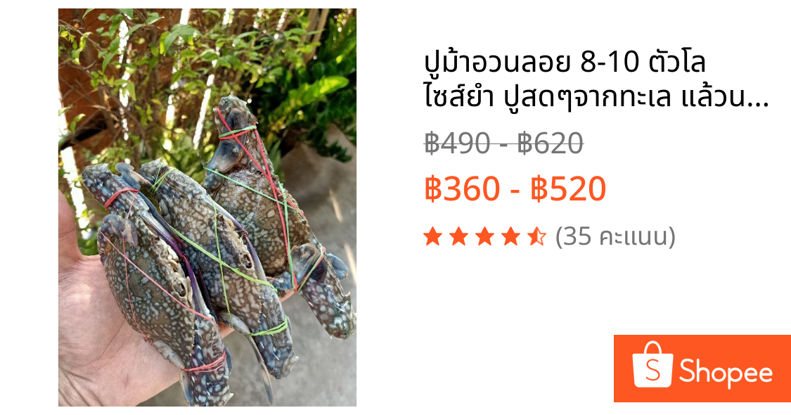 ปูม้าอวนลอย 8-10 ตัวโล ไซส์ยำ ปูสดๆจากทะเล แล้วนำไปแช่แข็ง