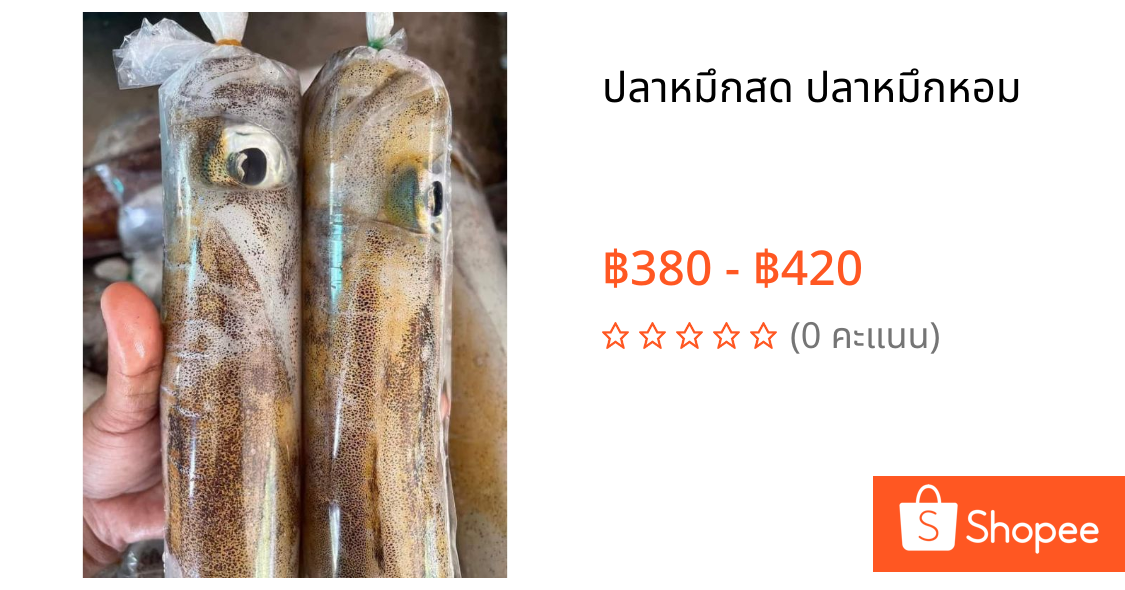 ปลาหมึกสด ปลาหมึกหอม