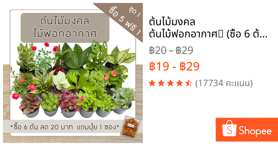 ต้นไม้มงคล ต้นไม้ฟอกอากาศ🪴 (ซื้อ 6 ต้นลด 20 บาท)**เลือกต้นแถมได้เอง** ชุด 1 ^แถมฟรีปุ๋ยออสโมโค้ท^