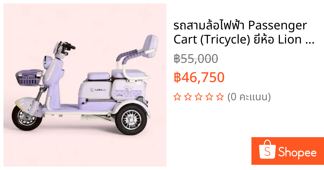 รถสามล้อไฟฟ้า Passenger Cart (Tricycle) ยี่ห้อ Lion รุ่น LNE-X10