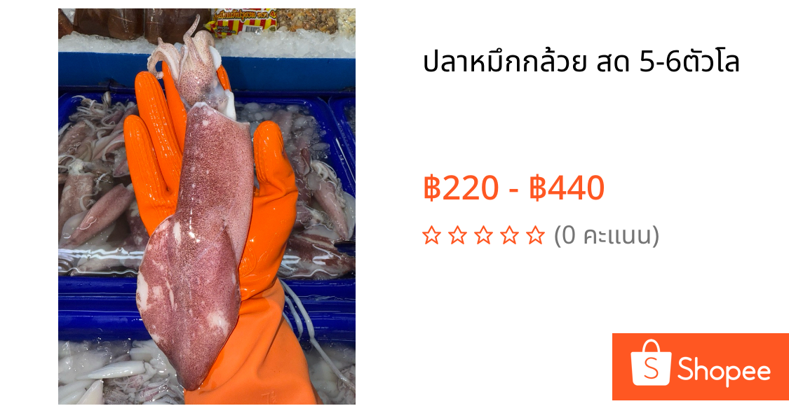 ปลาหมึกกล้วย สด 5-6ตัวโล