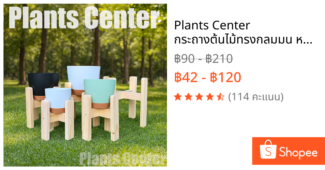 Plants Center กระถางต้นไม้ทรงกลมมน หรูหราสวยงาม กระถางไม้ฟอกอากาศ แบบใหม่มีถาดรองเก็บน้ำได้ T061