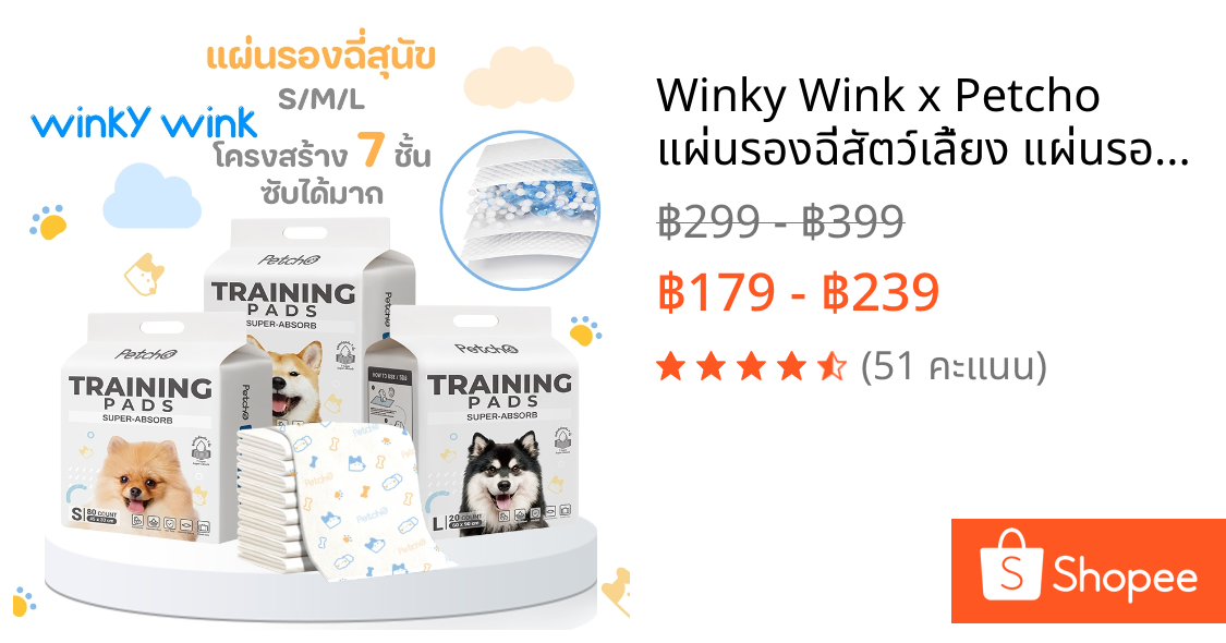 Winky Wink x Petcho แผ่นรองฉี่สัตว์เลี้ยง แผ่นรองฉี่สุนัข แผ่นซับฉี่ ซุปเปอร์ดูดซับ แผ่นรองฝึกขับถ่าย ระงับกลิ่นได้ดี