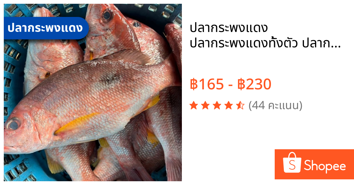 ปลากระพงแดง ปลากระพงแดงทั้งตัว ปลากระพงแดงสด อาหารทะเล