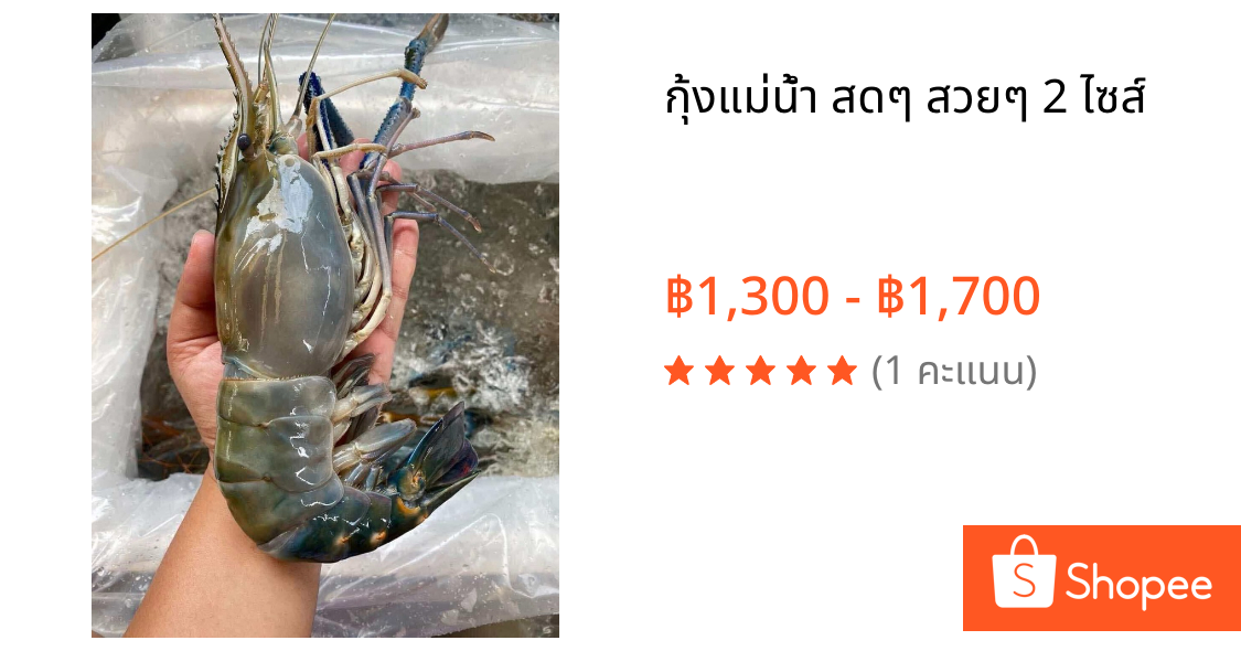 กุ้งแม่น้ำ สดๆ สวยๆ 2 ไซส์