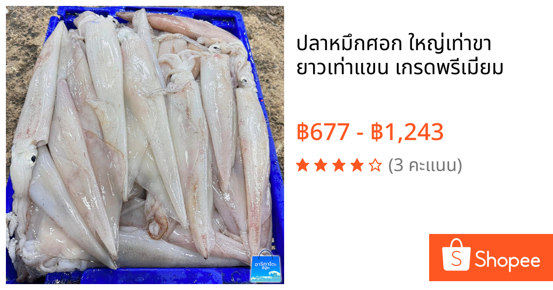 ปลาหมึกศอก ใหญ่เท่าขา ยาวเท่าแขน เกรดพรีเมี่ยม