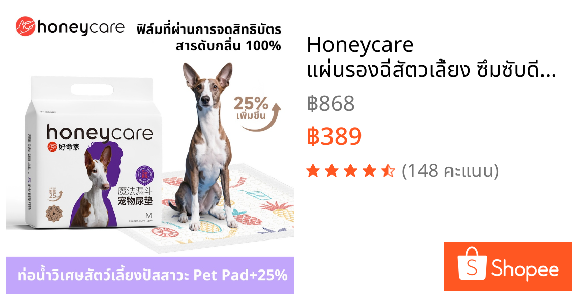 Honeycare แผ่นรองฉี่สัตวเลี้ยง ซึมซับดีเยี่ยม แผ่นฝึกขับถ่าย แผ่นรองฉี่ สุนัข แมว Pee Pad Pet Training