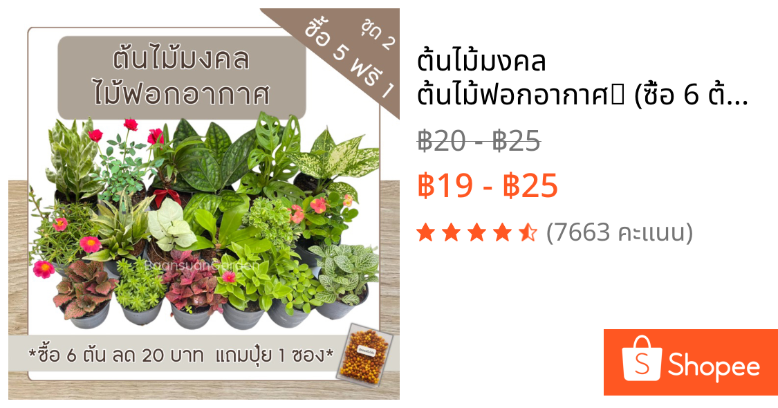 ต้นไม้มงคล ต้นไม้ฟอกอากาศ🪴 (ซื้อ 6 ต้นลด 20 บาท) **เลือกต้นแถมได้เอง** ชุดที่ 2 ^แถมฟรีปุ๋ยออสโมโค้ท^