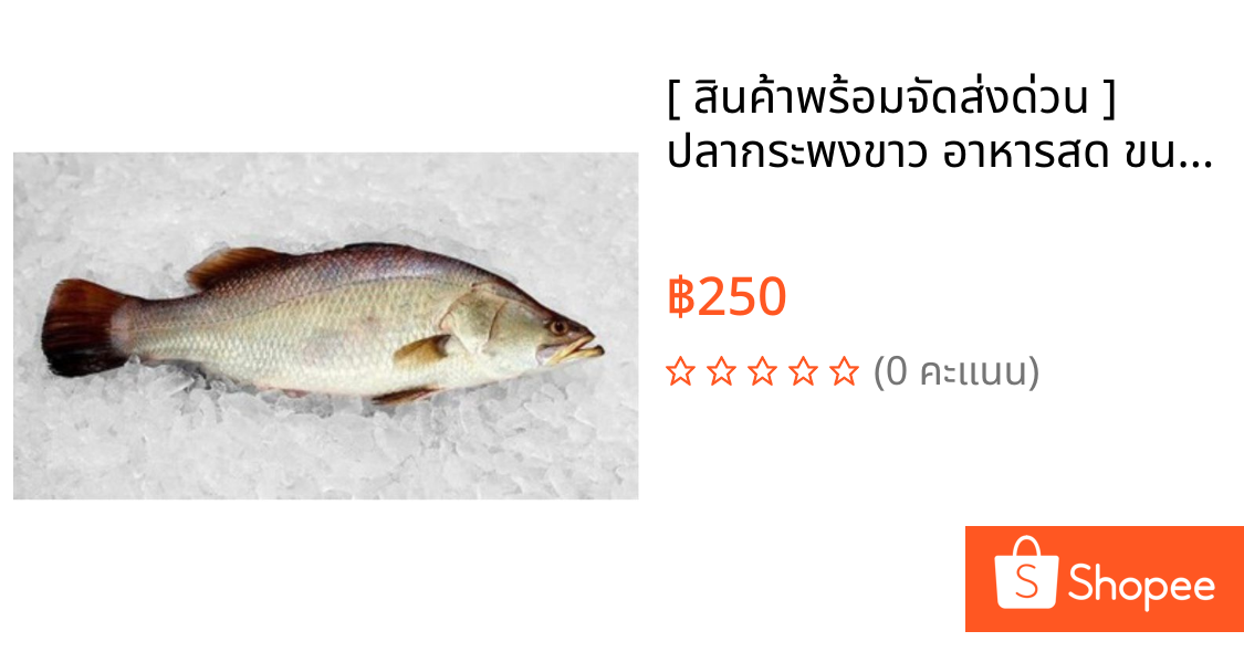 [ สินค้าพร้อมจัดส่งด่วน ] ปลากระพงขาว อาหารสด ขนาด 800 กรัม