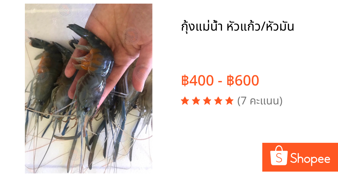กุ้งแม่น้ำ หัวแก้ว/หัวมัน