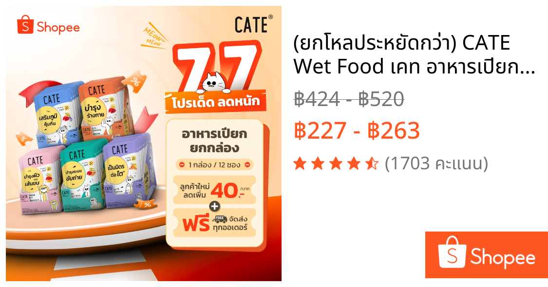 (ยกโหลประหยัดกว่า) CATE Wet Food เคท อาหารเปียกแมว 5 สูตร บำรุงร่างกาย ไม่เติมเกลือ ไม่ทำร้ายไต (1 กล่อง 12 ซอง)