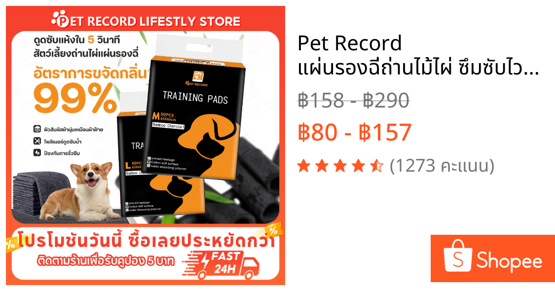 🔥 Pet Record แผ่นรองฉี่ถ่านไม้ไผ่ ซึมซับไว 5ชั้น ดับกลิ่น99% แห้งสบาย ไม่รั่วซึม แผ่นรองฉี่สุนัข 🐾