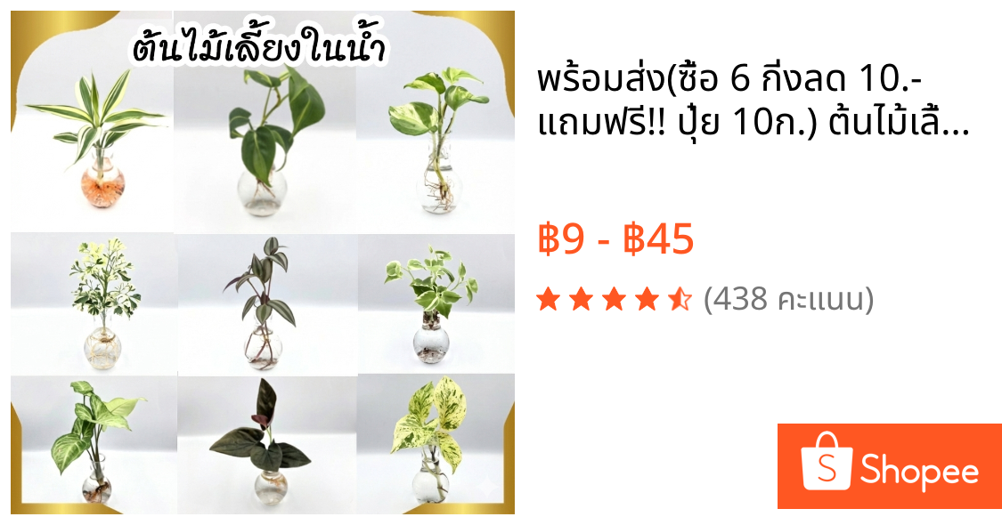 พร้อมส่ง(ซื้อ 6 กิ่งลด 10.- แถมฟรี!! ปุ๋ย 10ก.) 🌱ต้นไม้เลี้ยงน้ำ 20  ชนิด(ขายเป็นกิ่ง)🌱ต้นไม้ฟอกอากาศ ใส่แจกันประดับบ้าน