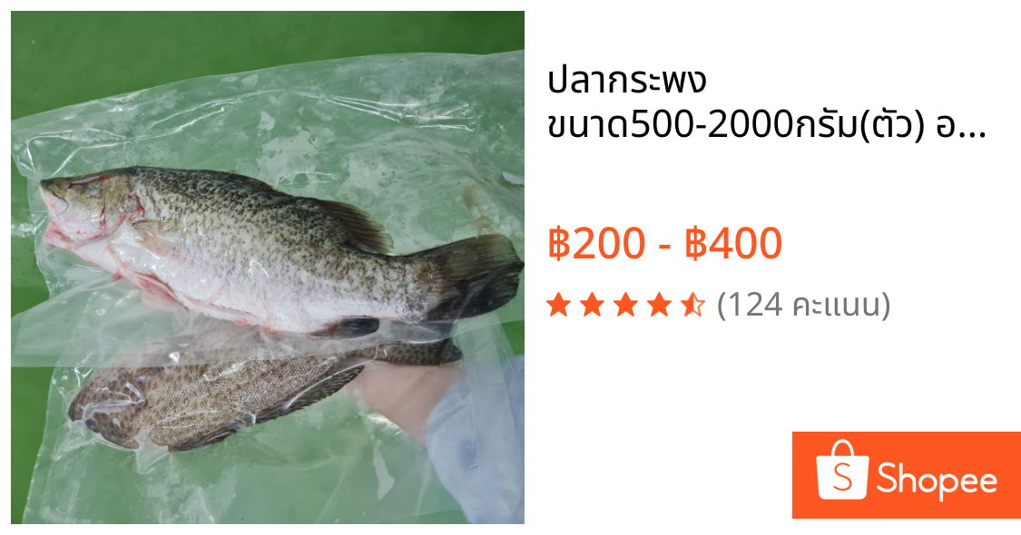 ปลากระพง ขนาด500-2000กรัม(ตัว) อาหารทะลสด