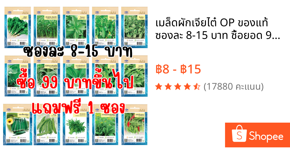 เมล็ดผักเจียไต๋ OP ของแท้ ซองละ 8-15 บาท ซื้อยอด 99 บาทขึ้นไปแถมฟรี 1 ซอง
