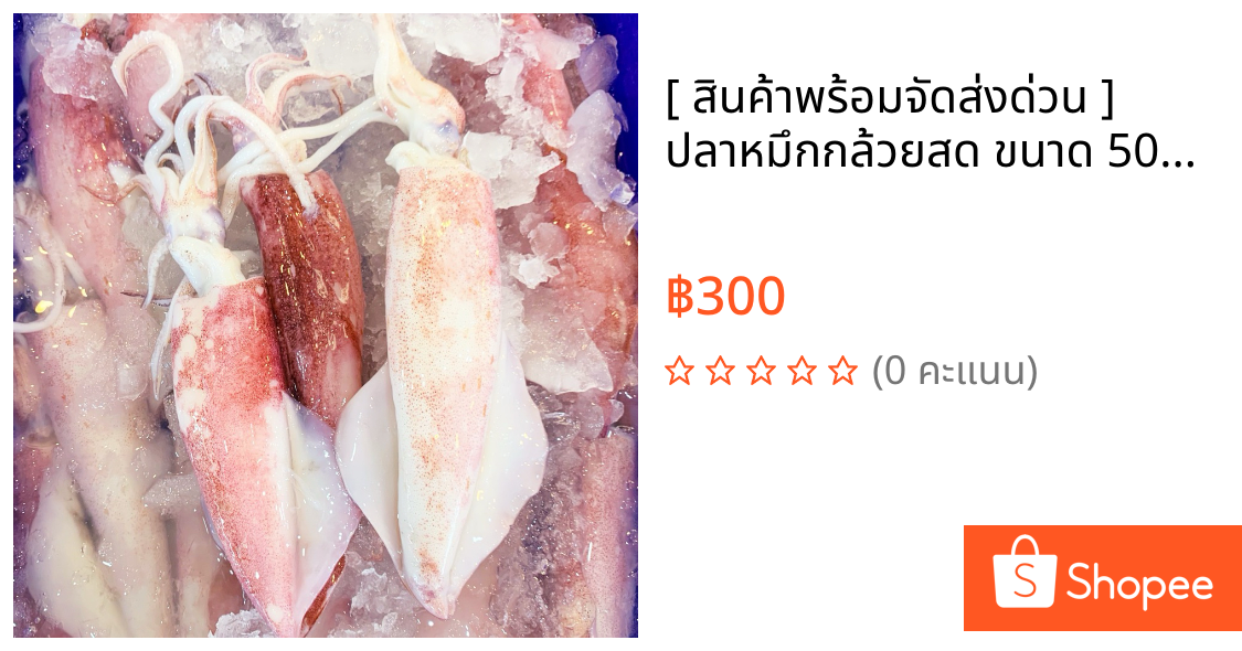 [ สินค้าพร้อมจัดส่งด่วน ] ปลาหมึกกล้วยสด ขนาด 500 กรัม (ครึ่งกิโล) อาหารทะเลสด
