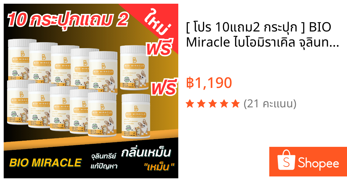 [ โปร 10แถม2 กระปุก ] BIO Miracle ไบโอมิราเคิล จุลินทรีย์ ดับกลิ่น ดับกลิ่นฉี่สัตว์ ฉี่หมาแมว กลิ่นเหม็น