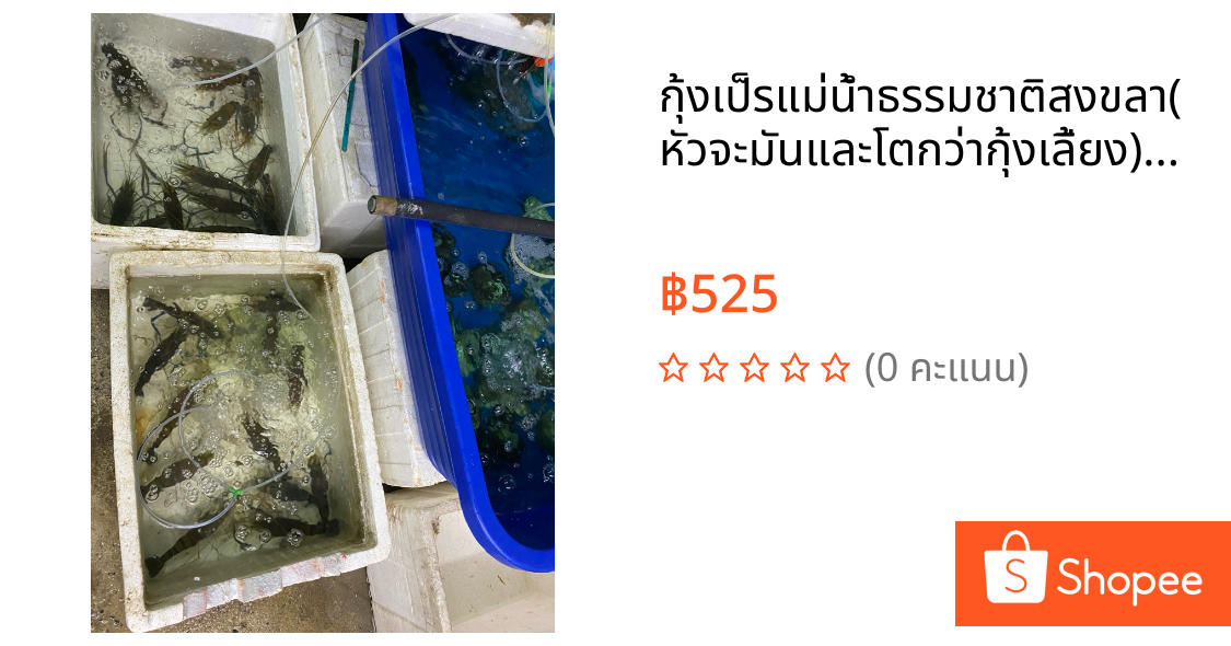 กุ้งเป็รแม่น้ำธรรมชาติสงขลา(หัวจะมันและโตกว่ากุ้งเลี้ยง)10ตัวโล น็อคสด(โนแช่แข็ง)ฟรีน้ำจิ้มมะนาวสดแท้