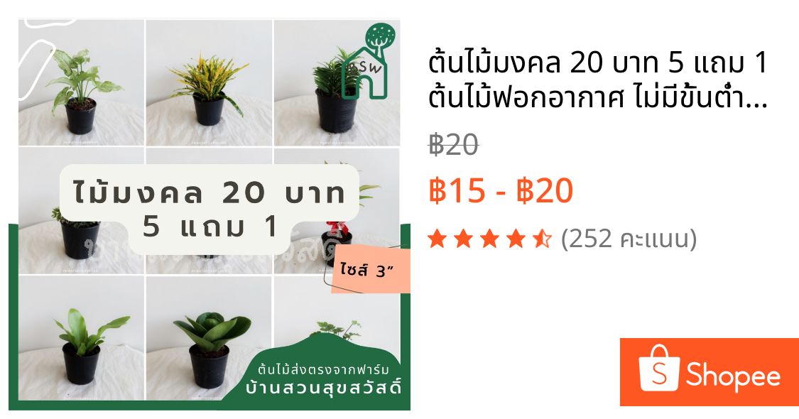 ต้นไม้มงคล 20 บาท 5 แถม 1 ต้นไม้ฟอกอากาศ ไม่มีขั้นต่ำการสั่ง อัพเดตทุกเดืแน