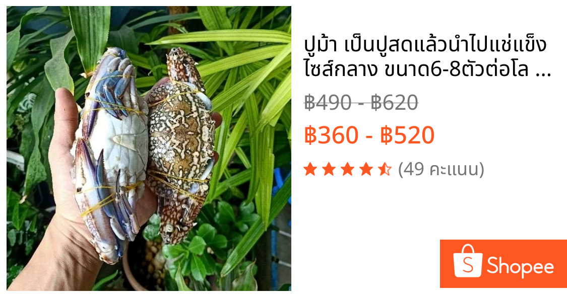 ปูม้า เป็นปูสดแล้วนำไปแช่แข็ง ไซส์กลาง ขนาด6-8ตัวต่อโล  ขายเป็นแพ็ค แพ็คล่ะ1โล