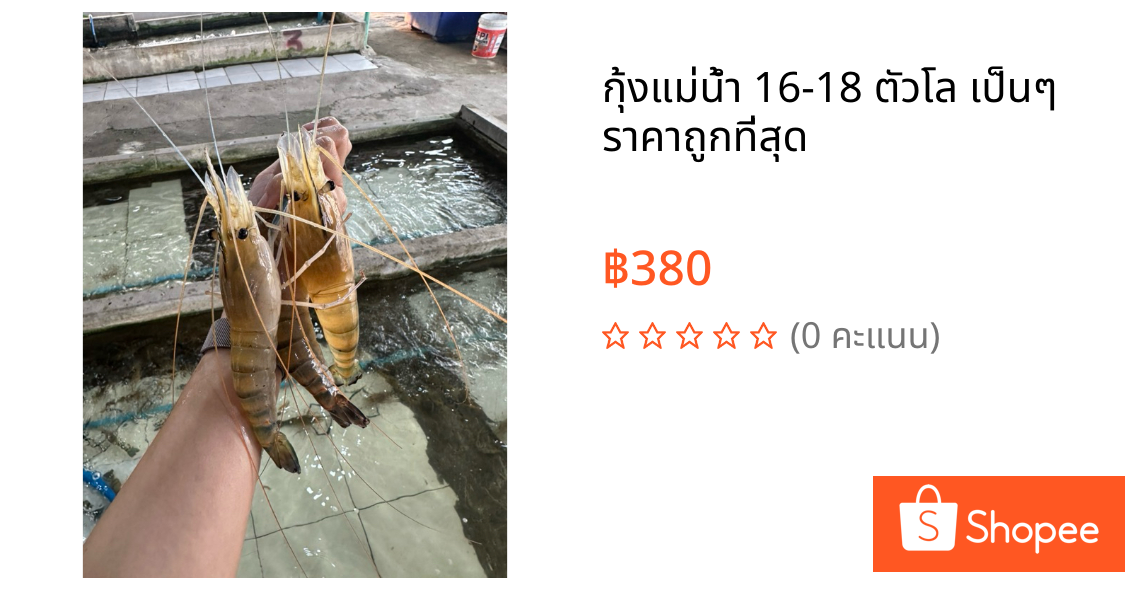 กุ้งแม่น้ำ 16-18 ตัวโล เป็นๆ ราคาถูกที่สุด