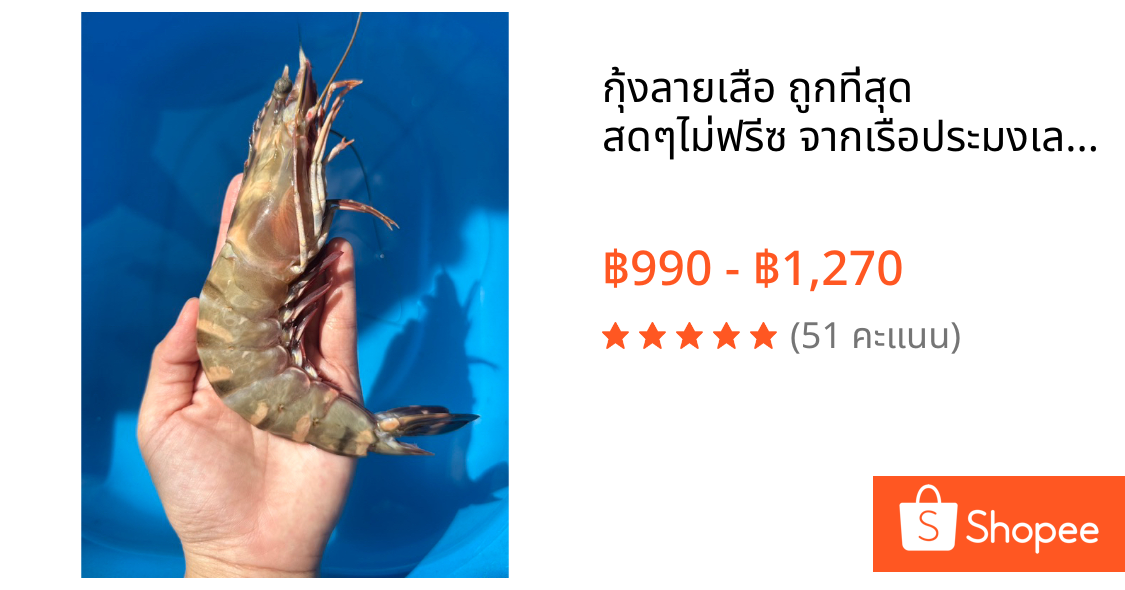 กุ้งลายเสือ ถูกที่สุด สดๆไม่ฟรีซ จากเรือประมงเลยจ้ท