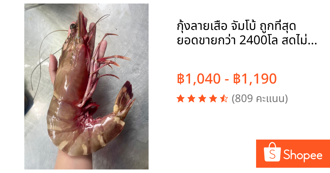 กุ้งลายเสือ จัมโบ้ ถูกที่สุด ยอดขายกว่า 2400โล สดไม่ฟรีซจากเรือโดยตรง รีวิวเพียบ ไม่ผิดหวังแน่นอน