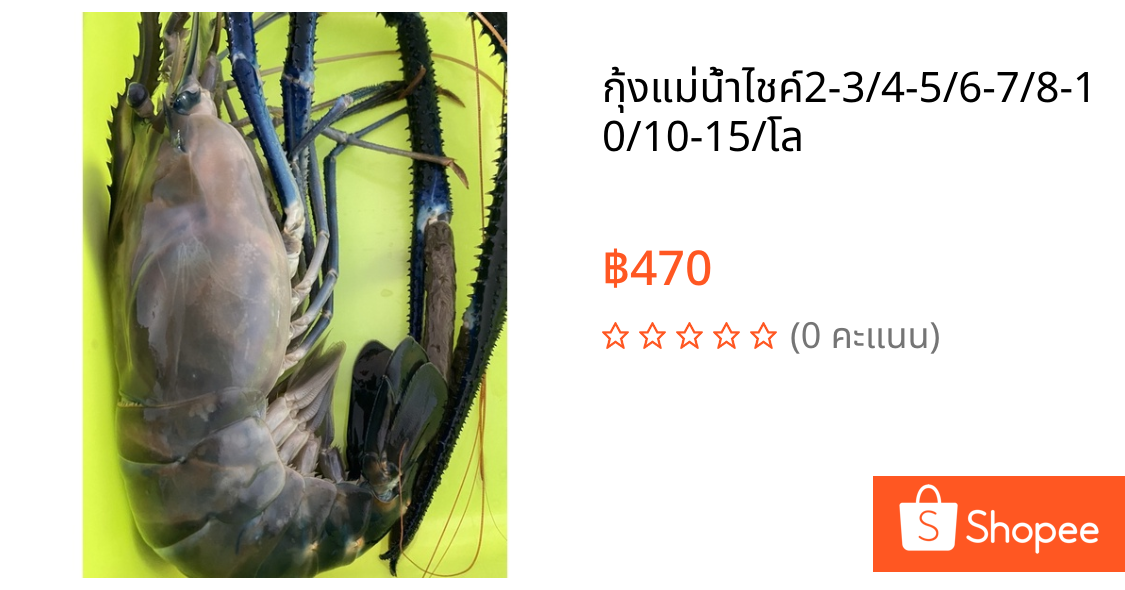 กุ้งแม่น้ำไชค์2-3/4-5/6-7/8-10/10-15/โล