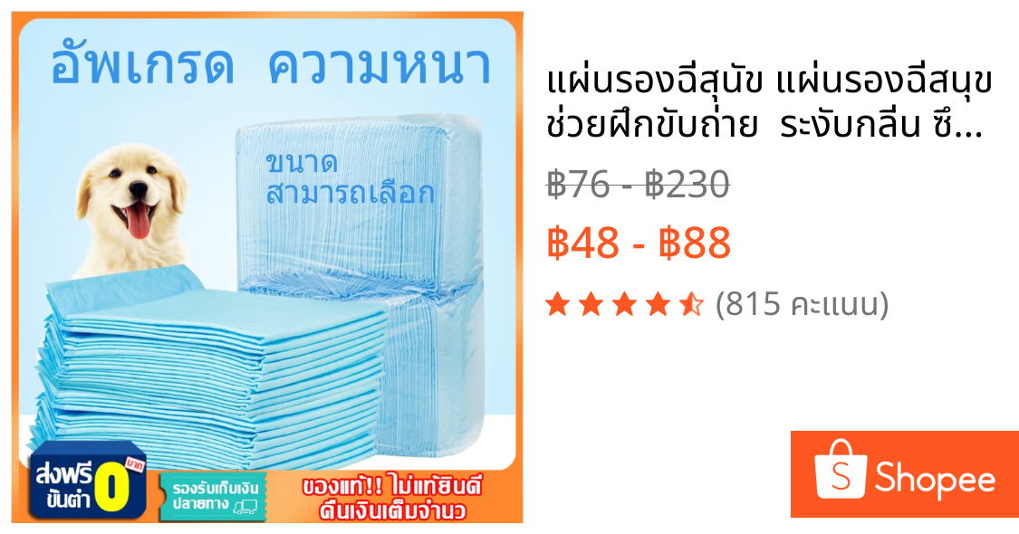 แผ่นรองฉี่สุนัข แผ่นรองฉี่สนุข ช่วยฝึกขับถ่าย  ระงับกลิ่น ซึมซับไดีดี แผ่นรองฉี่สุนัขและแมว สัตว์เลี้ยง แผ่นรองฉี่