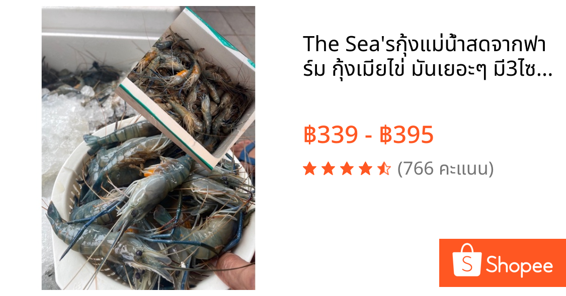 The Sea's🦐กุ้งแม่น้ำสดจากฟาร์ม กุ้งเมียไข่ มันเยอะๆ มี3ไซส์ให้เลือกค่ะ (กุ้งสด/กุ้งก้ามกราม)🦐เดอะซีไทยแลนด์กุ้งแม่น้ำสด🦐