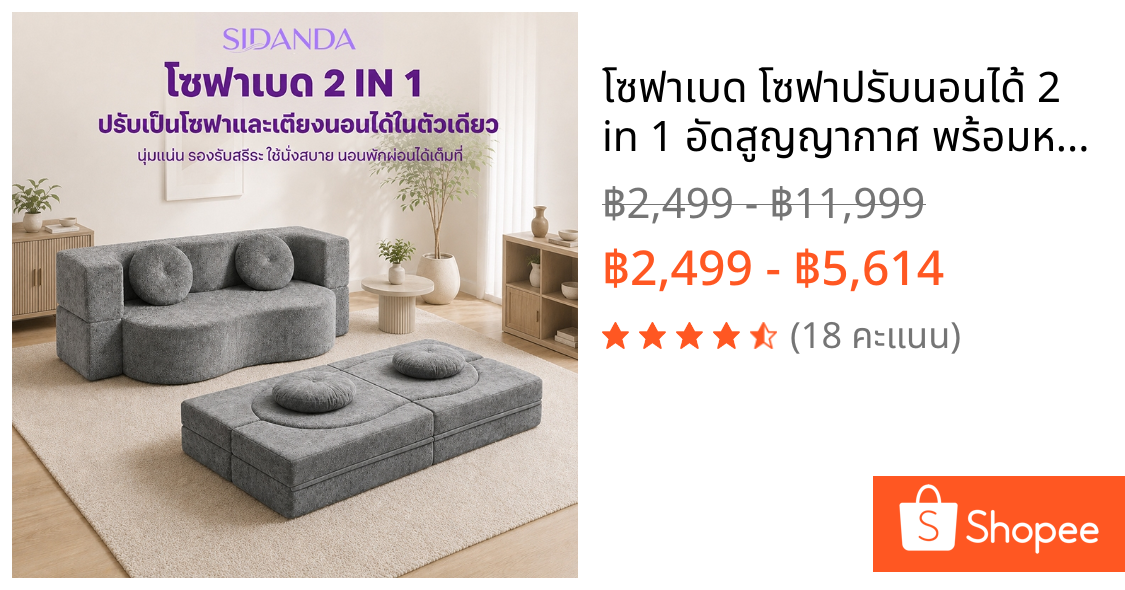 โซฟาเบด โซฟาปรับนอนได้ 2 in 1 อัดสูญญากาศ พร้อมหมอน 2 ใบ เหมาะกับคอนโด ห้องเล็ก พื้นที่จำกัด