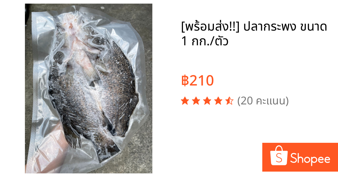 [พร้อมส่ง!!] ปลากระพง ขนาด 1 กก./ตัว