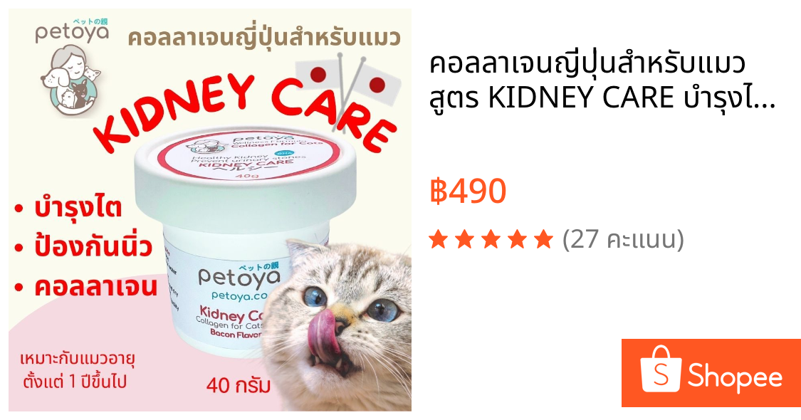 คอลลาเจนญี่ปุ่นสำหรับแมว สูตร KIDNEY CARE บำรุงไต ป้องกันนิ่ว