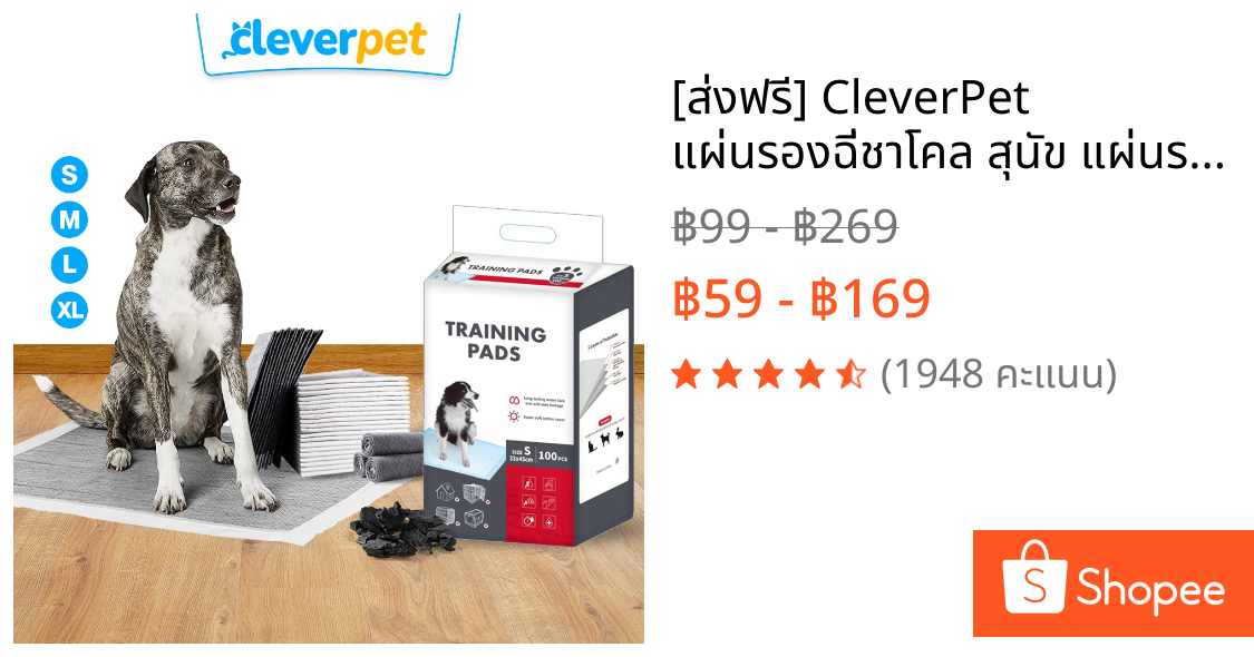 [ส่งฟรี🇹🇭] CleverPet แผ่นรองฉี่ชาโคล สุนัข แผ่นรองฉี่แมว ซึมดี เก็บกลิ่น Dog Training Pad