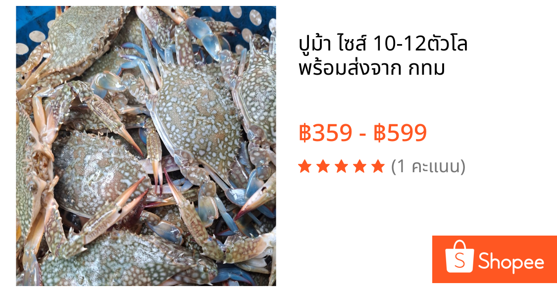 ปูม้า ไซส์ 10-12ตัวโล พร้อมส่งจาก กทม