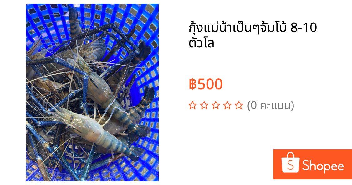 กุ้งแม่น้ำเป็นๆจั้มโบ้ 8-10 ตัวโล ✅🦞