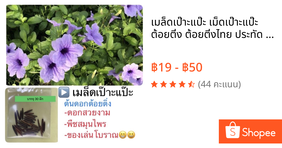 เมล็ดเป๊าะแป๊ะ เม็ดเป๊าะแป๊ะ ต้อยติ่ง ต้อยติ่งไทย ประทัด ของเล่น วัยเยาว์ พืชสมุนไพร (1ห่อ:30ฝัก)