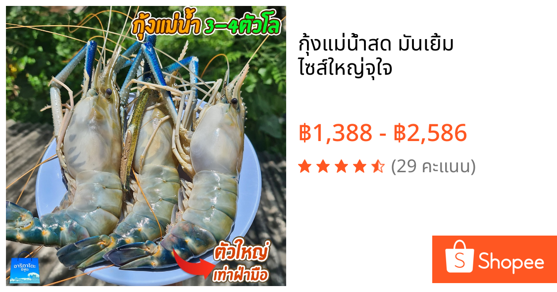 กุ้งแม่น้ำสด มันเยิ้ม ไซส์ใหญ่จุใจ