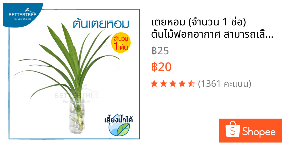 เตยหอม (จำนวน 1 ช่อ) ต้นไม้ฟอกอากาศ สามารถเลี้ยงกับน้ำได้   ต้นไม้ ต้นไม้น้ำ เตย เตยทำขนม