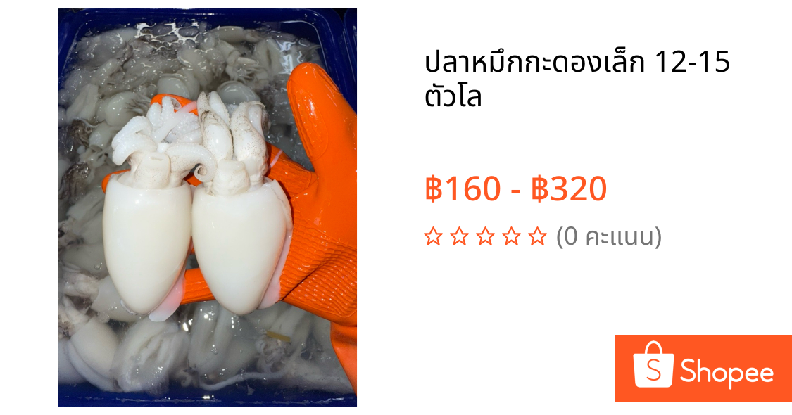 ปลาหมึกกะดองเล็ก 12-15 ตัวโล