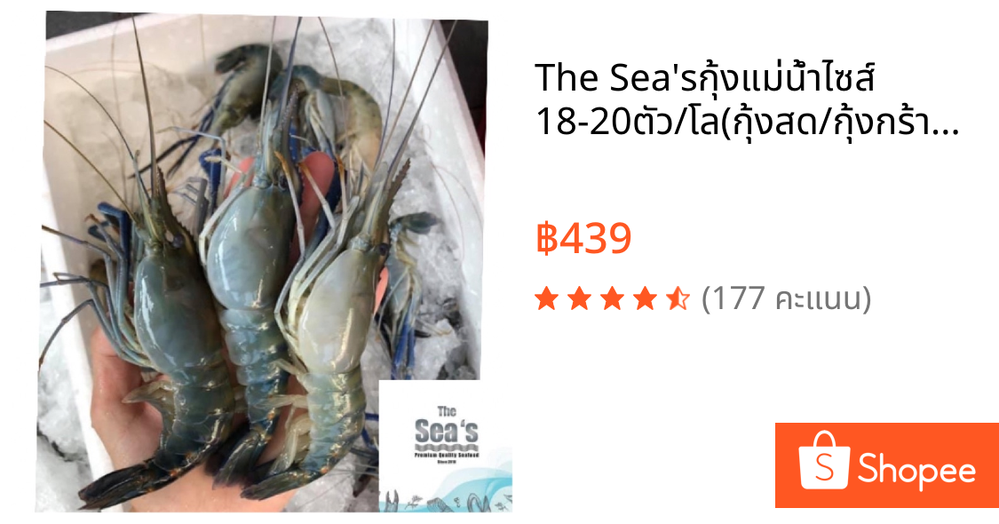 The Sea's🦐กุ้งแม่น้ำไซส์ 18-20ตัว/โล(กุ้งสด/กุ้งกร้ามกาม/[น้อคน้ำแข็งใส่โฟมอย่างดี]🦐เดอะซีไทยแลนด์กุ้งแม่น้ำสด🦐
