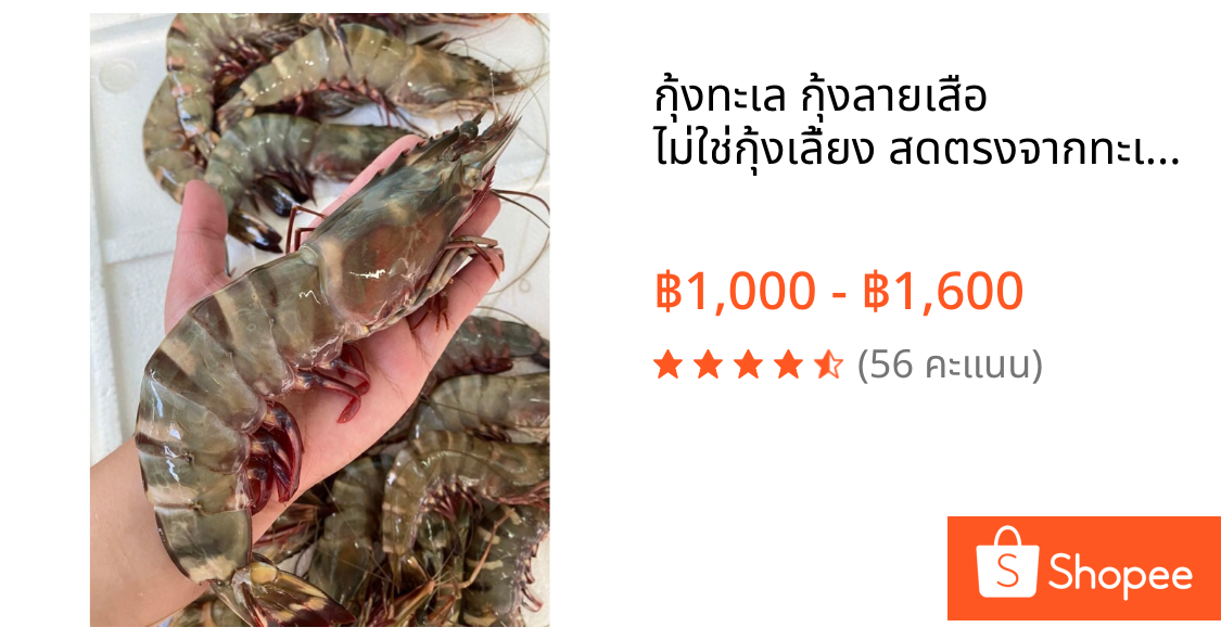 กุ้งทะเล กุ้งลายเสือ  ไม่ใช่กุ้งเลี้ยง สดตรงจากทะเลอ่าวไทย ราคาขายต่อกิโล