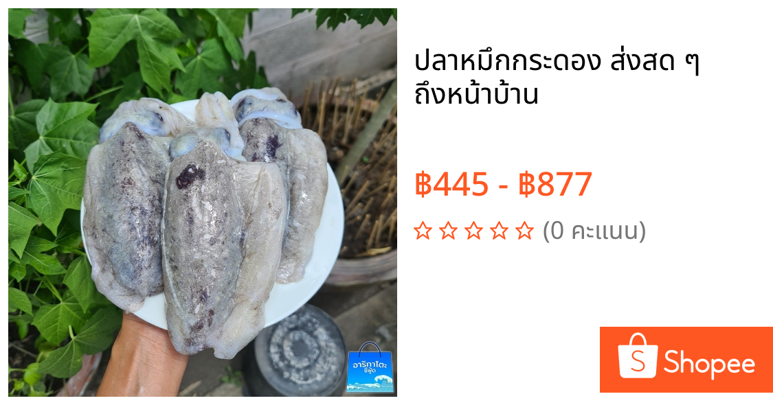 ปลาหมึกกระดอง ส่งสด ๆ ถึงหน้าบ้าน