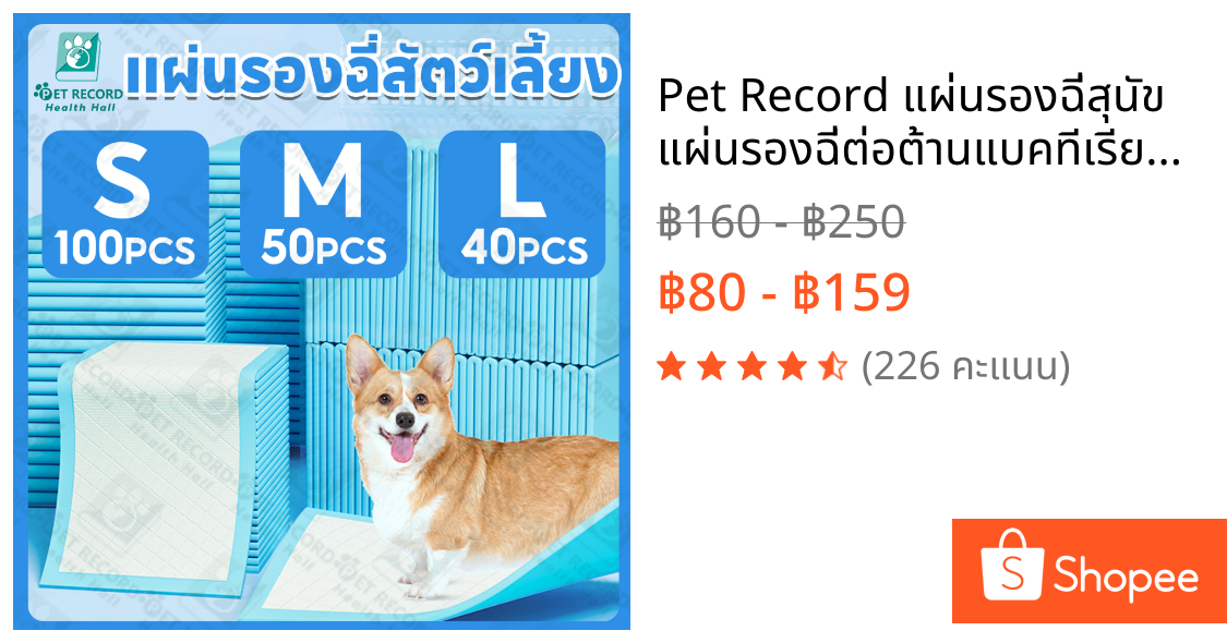 Pet Record แผ่นรองฉี่สุนัข แผ่นรองฉี่ต่อต้านแบคทีเรียซึมซับไดีดีผ้ารองฉี่ถาดรองฉี่สุนัขแผ่นรองฉี่แมว