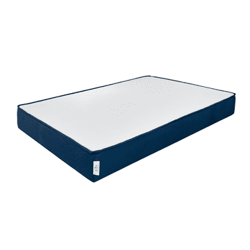 โปรโมชั่น : Solomon Mattress ที่นอนอัดสุญญากาศHybrid รุ่น Ready หนา 6 นิ้ว พัฒนาโดยผู้เชี่ยวชาญ แถมหมอนหนุนพรีเมี่ยม ประกัน 10 ปี