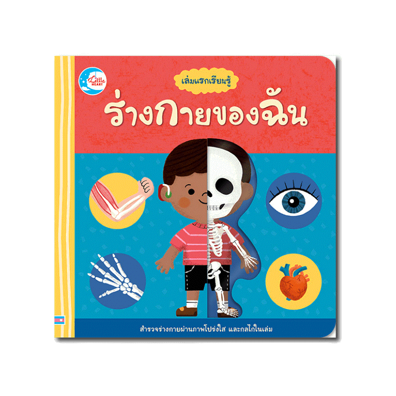 หนังสือ บอร์ดบุ๊ค เล่มแรกเรียนรู้ ร่างกายของฉัน (73285)